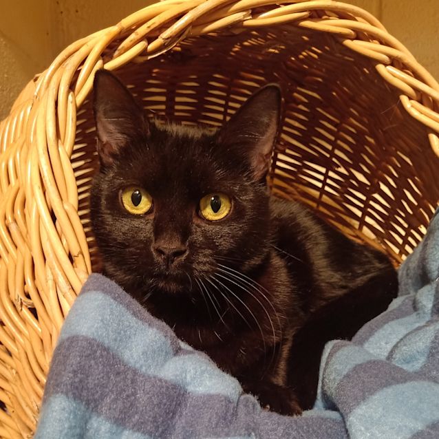 Photo of Wednesday 