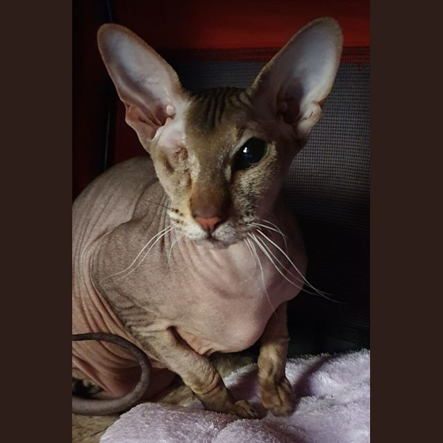 Photo of Anastasia
