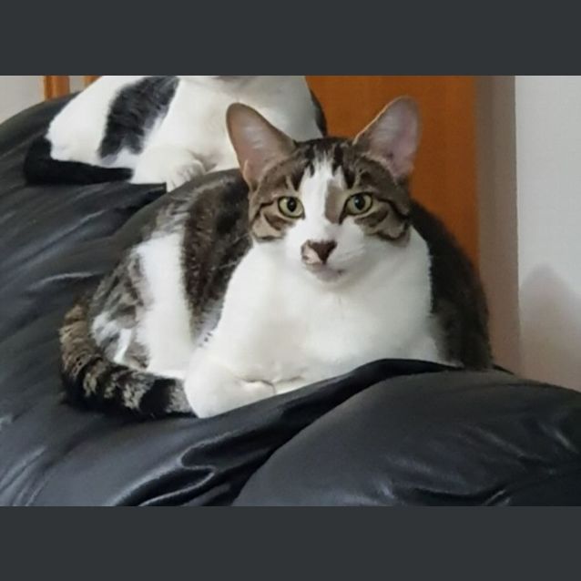 Photo of Beamer