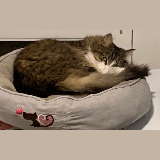 Photo of Fuzzy Lady
