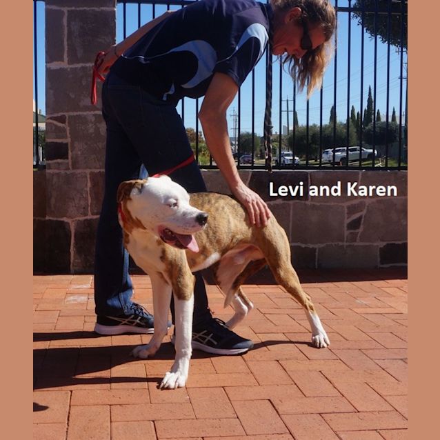 Photo of Levi