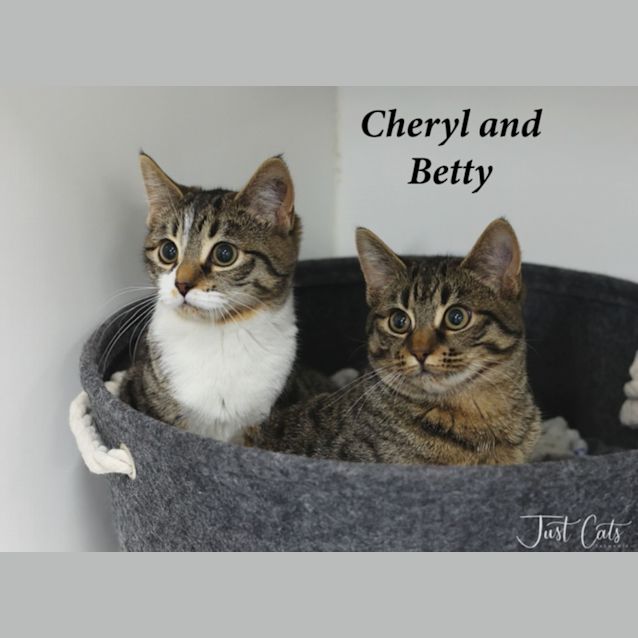 Photo of Cheryl