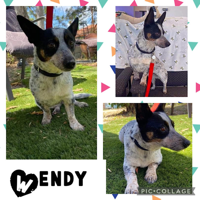 Photo of Wendy