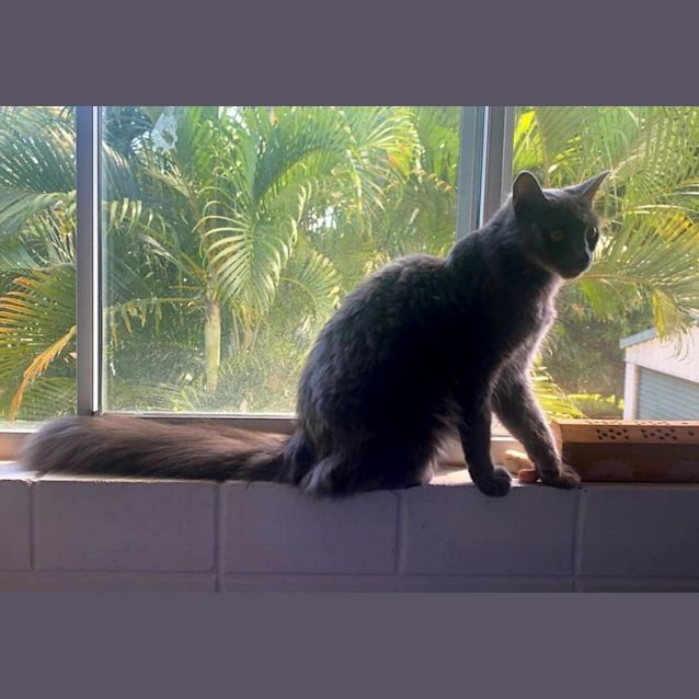Photo of Delilah