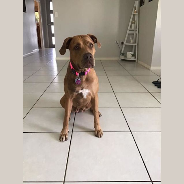 Photo of Ruby