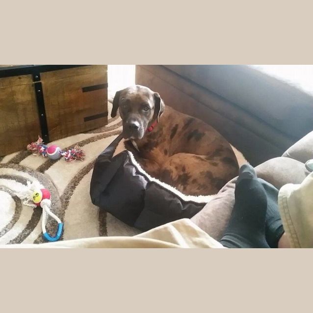 Photo of Madousa Aka Maddie