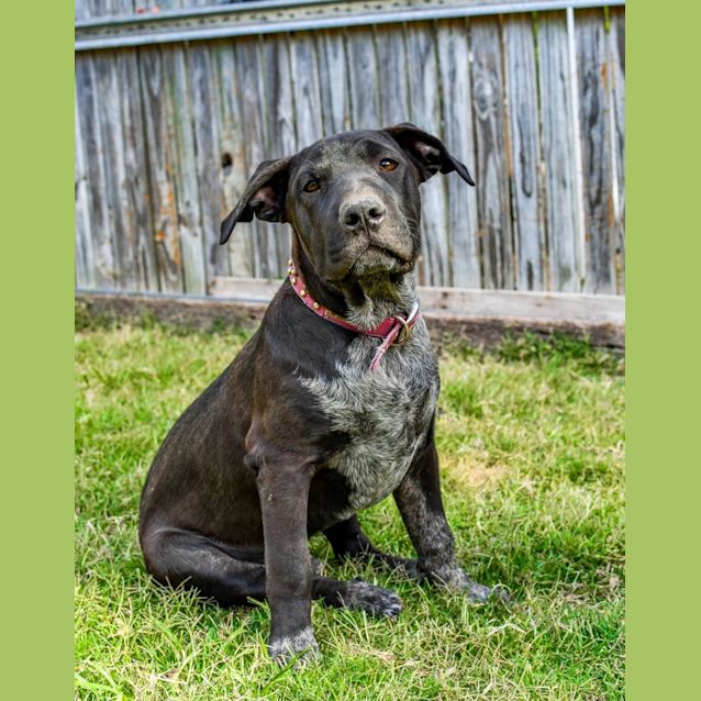 Photo of Rex