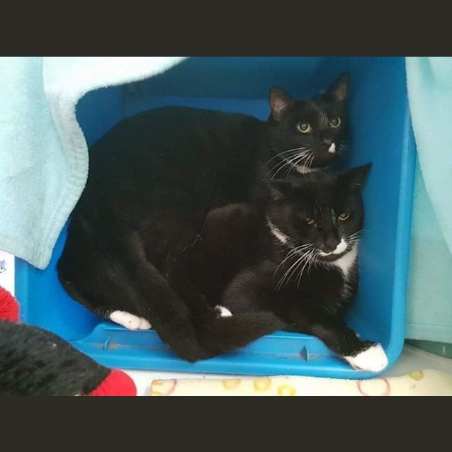 Photo of Lene And Angus