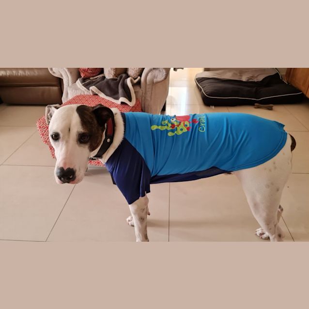 Photo of Hugo 