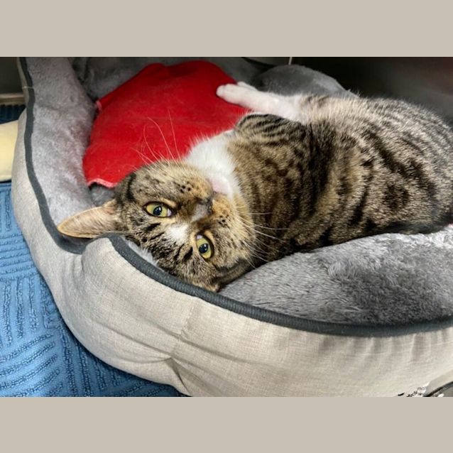 Photo of Otis