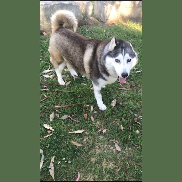 Photo of Izzy ❤️