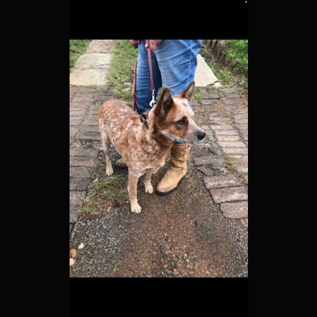 Photo of Missy 💕