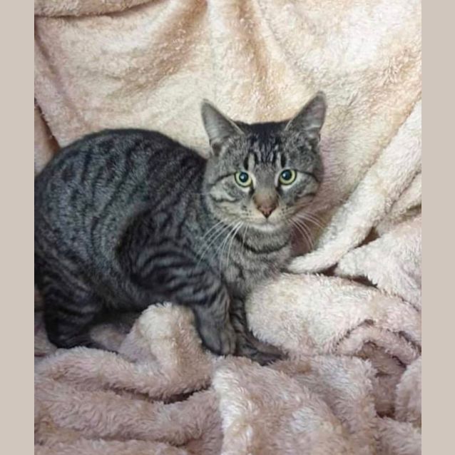 Photo of Ranger 