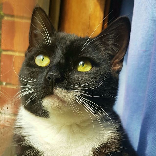 Photo of Coco