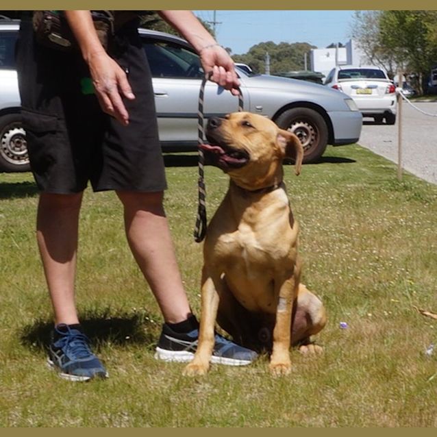 Photo of Cooper