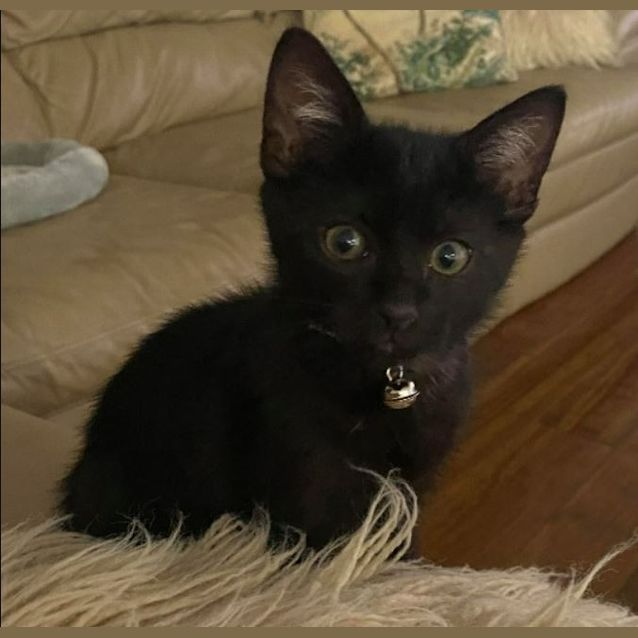 Photo of Bruce