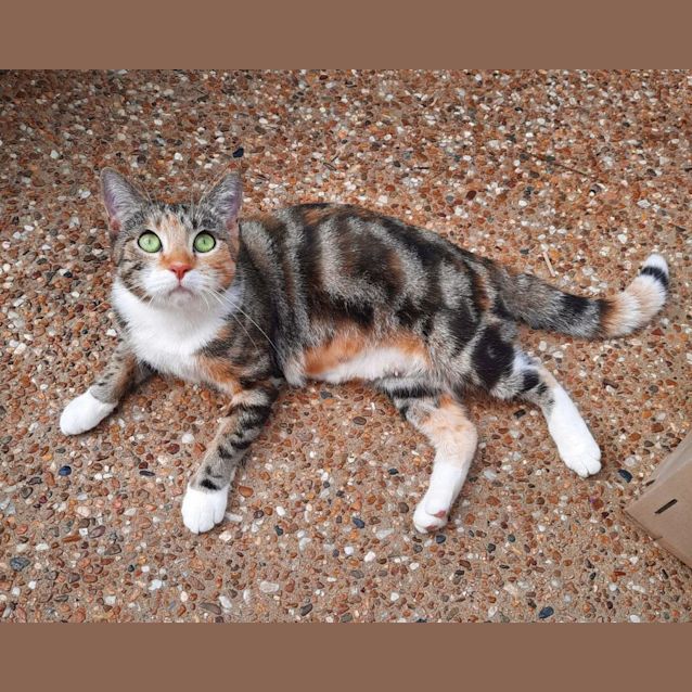 Photo of Raeshe