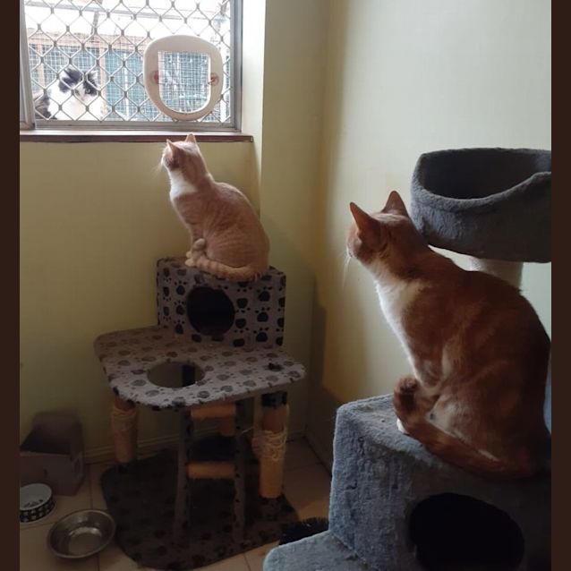 Photo of Boots And Yubo