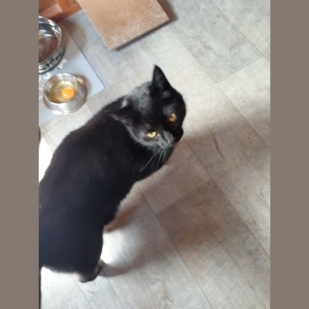 Photo of Tully