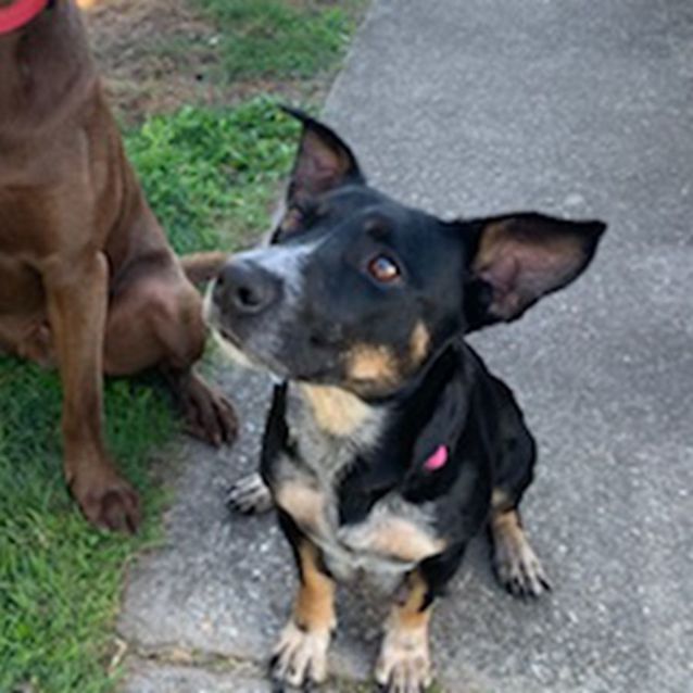 Photo of Lucy