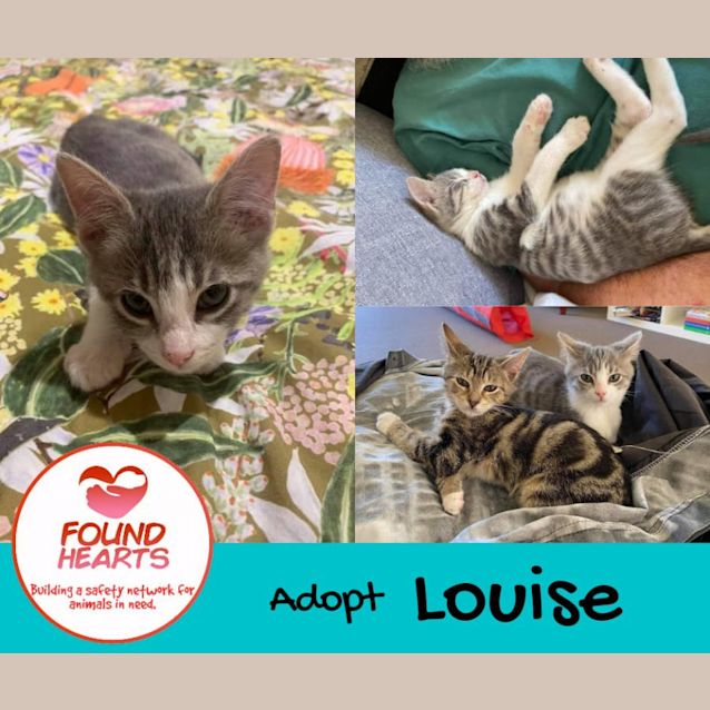 Photo of Louise 