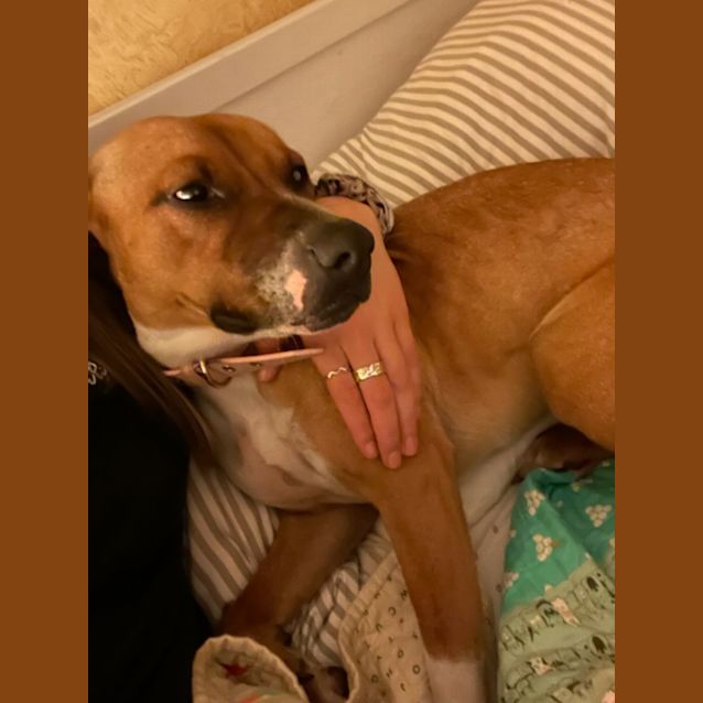 Photo of Copper
