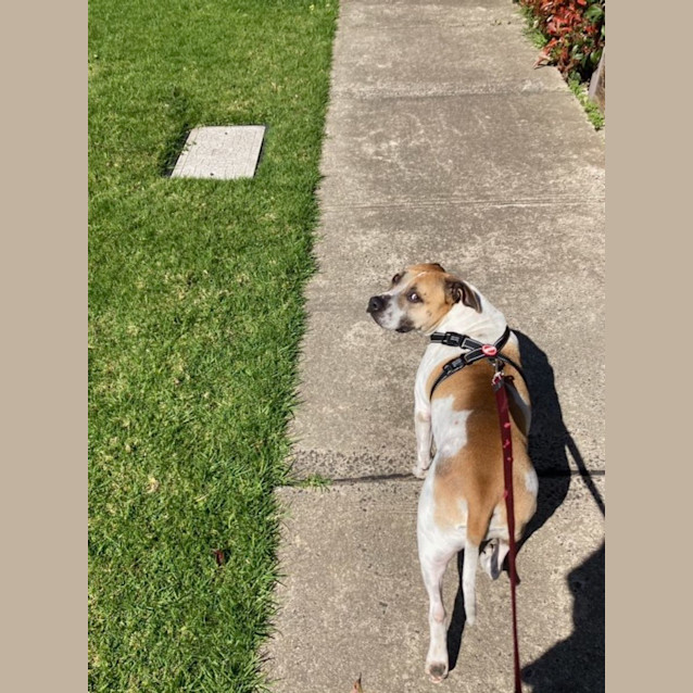 Photo of Duke