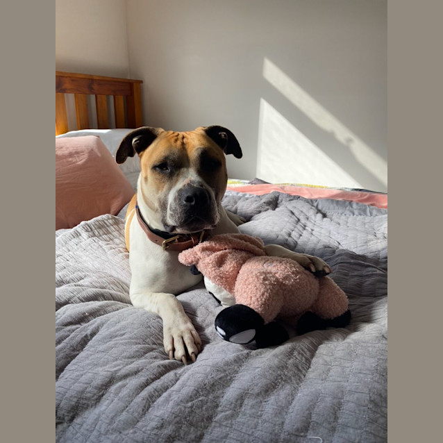 Photo of Duke