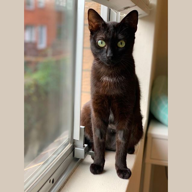 Photo of Morticia