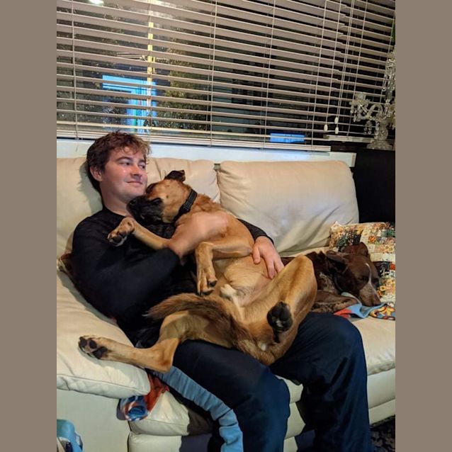 Photo of Roy ~ 5yr Old Cattle Dog X