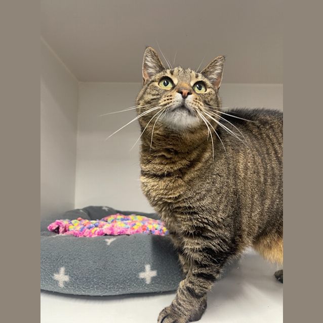 Photo of Tinkerbell