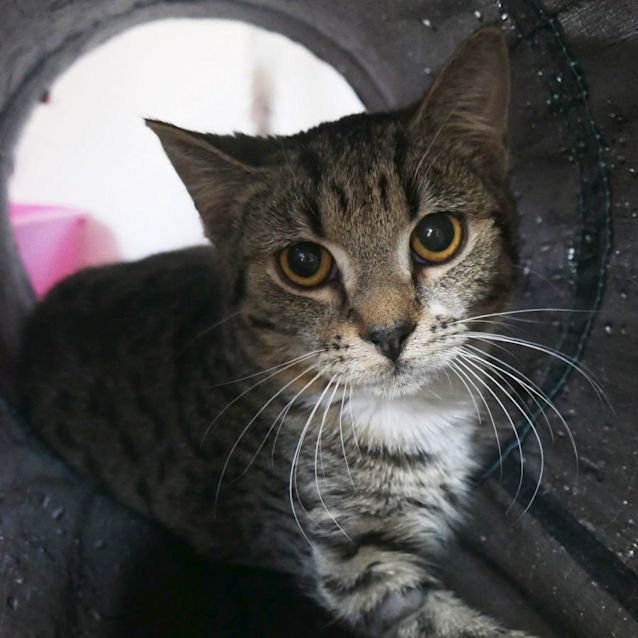 Photo of Olive Suk008953