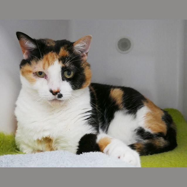 Photo of Olivia Sua008992