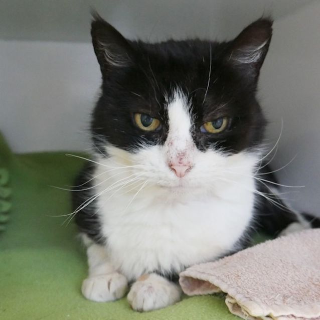 Photo of Colleen Sua008974