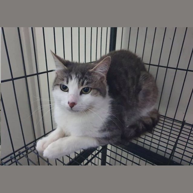 Photo of Charlie 
