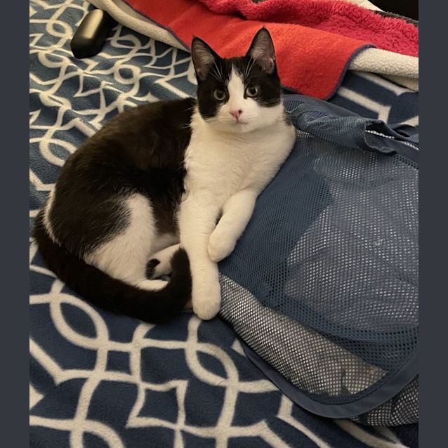 Photo of Jasper