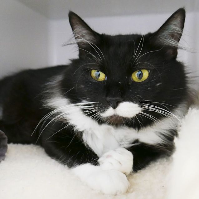 Photo of Betty Sta008737