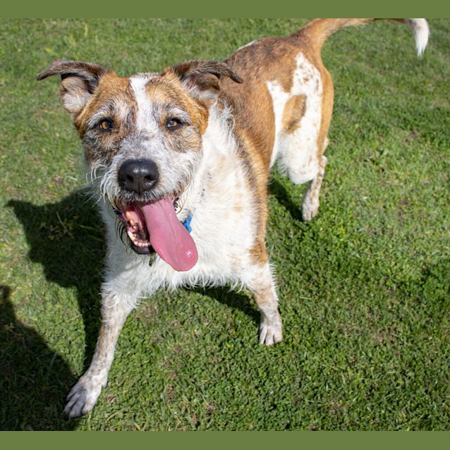Photo of Murphy