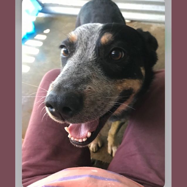 Photo of Hugo