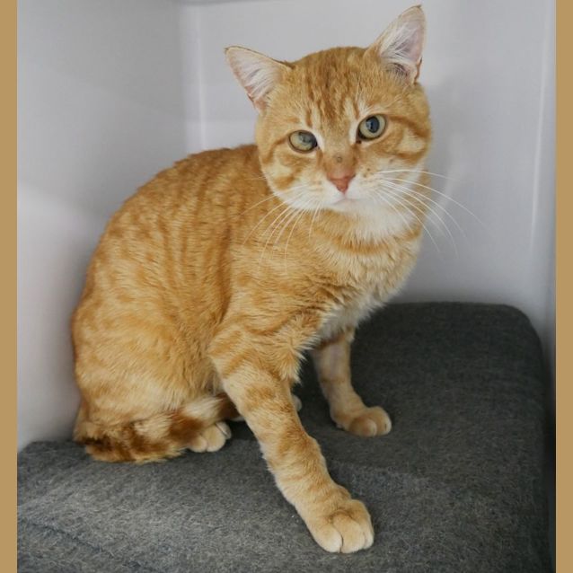 Photo of Noah Sua008982