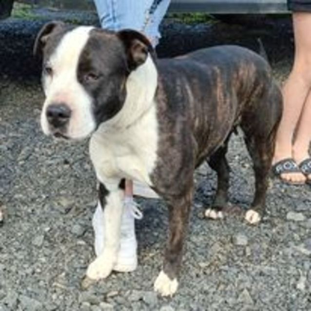 Photo of Tilly