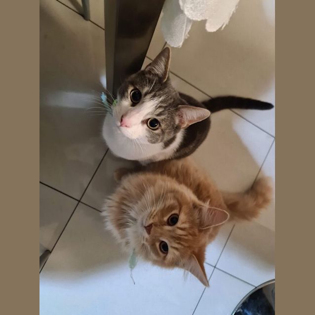 Photo of Lewis & Cashew