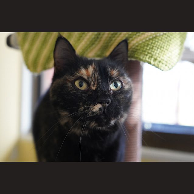 Photo of Minnie