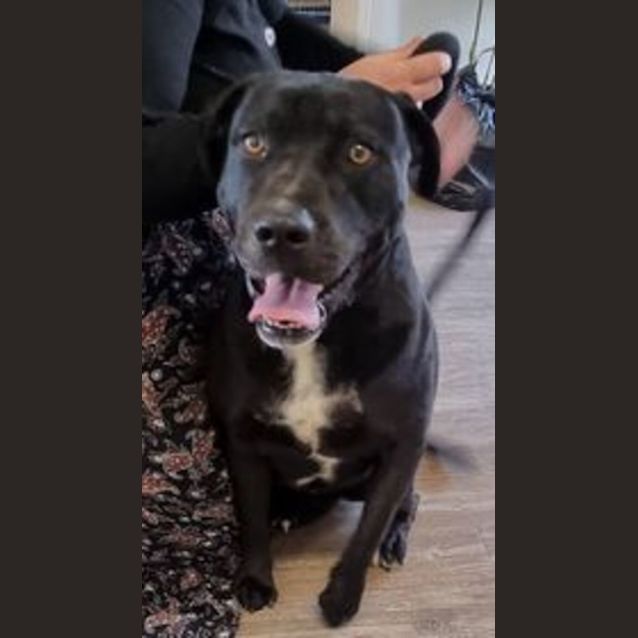 Photo of Odin