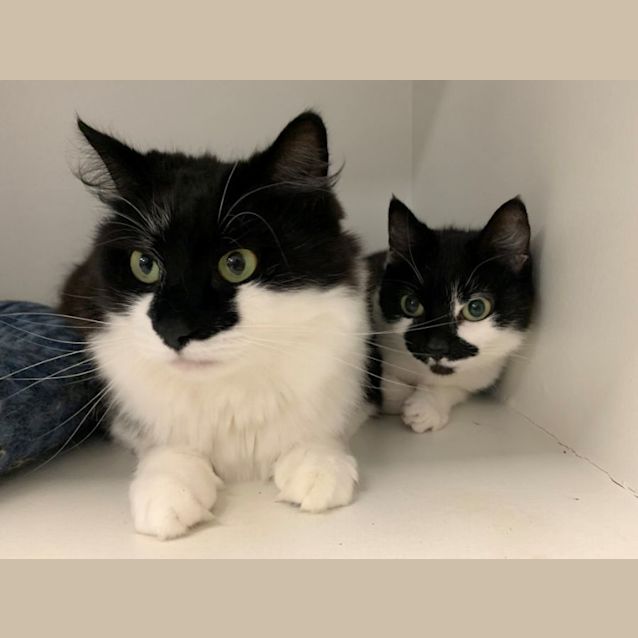 Photo of Bodhi & Tara