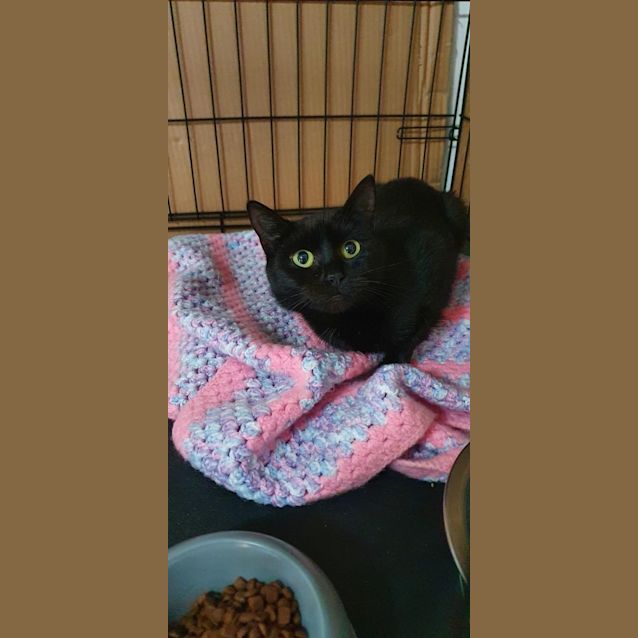 Photo of Twix