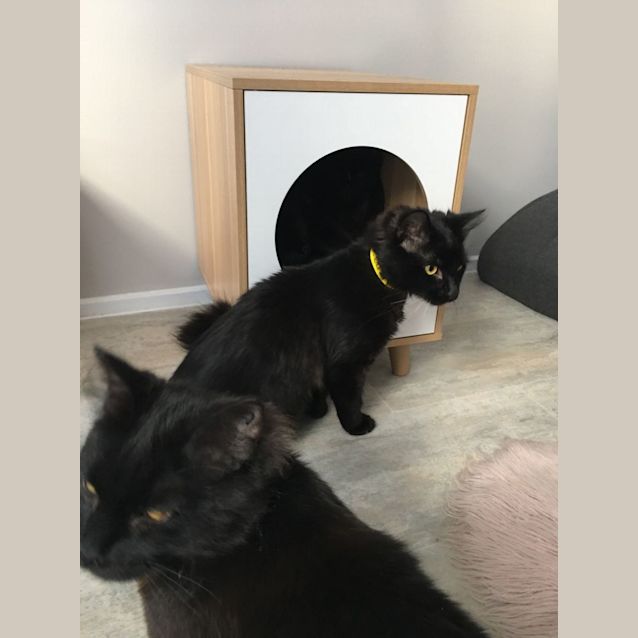 Photo of Thorn & Sabbath