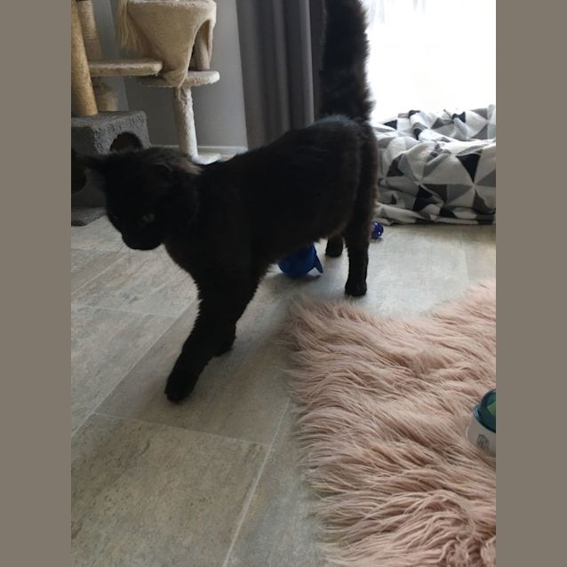 Photo of Sabbath & Thorn