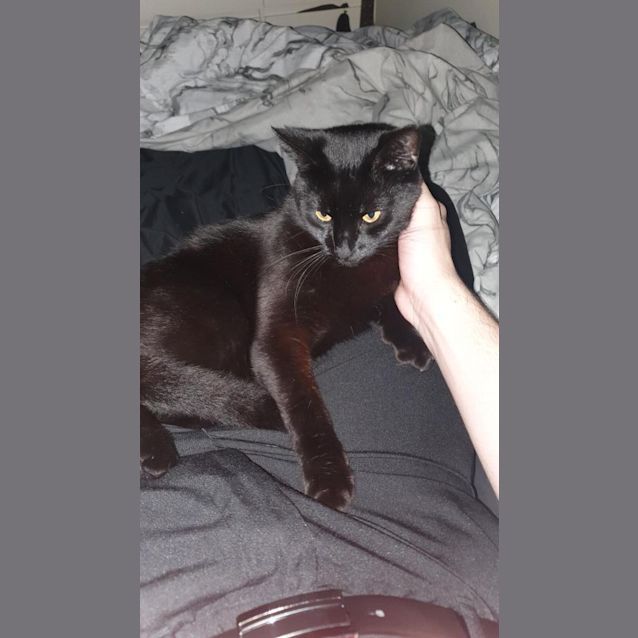 Photo of Little Miss Athena