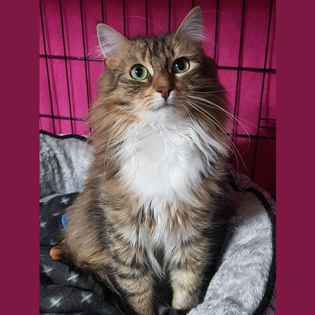 Photo of Holly